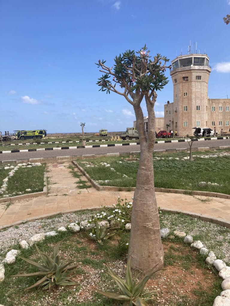 Socotra TravPholer